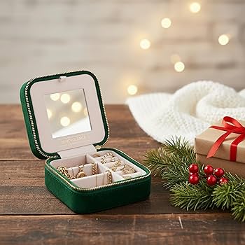 Amazon.com: Benevolence LA Plush Velvet Jewelry Box | Travel